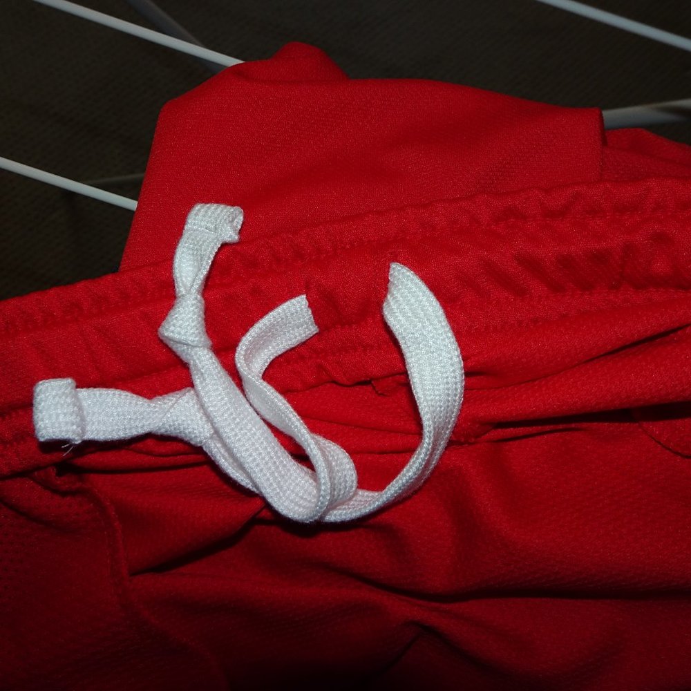 Nike Ivy League Brown University Dri-fit Basketball Shorts - Picture 8 of 12